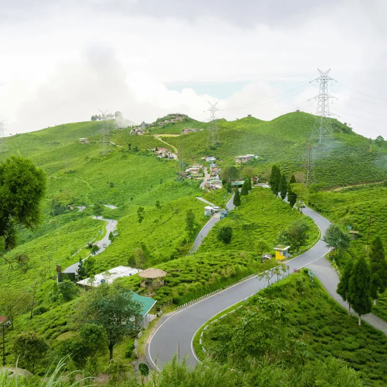 https://veloraholidays.in/wp-content/uploads/2026/03/Darjeeling-tea-garden.webp